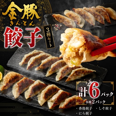 ◇金豚  餃子 3種 セット 計6パック