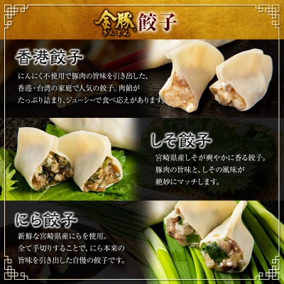 ◇金豚  餃子 3種 セット 計6パック