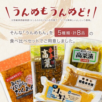 「霧島連山」天然水仕込みのお漬物 5種 バラエティセット 宮崎県産 たくあん 高菜