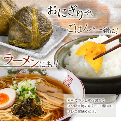 「霧島連山」天然水仕込みのお漬物 5種 バラエティセット 宮崎県産 たくあん 高菜