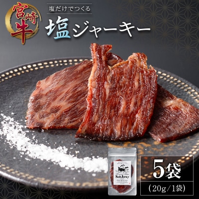 塩だけでつくる 宮崎牛 塩ジャーキー 5袋(20g×5袋)ブランド牛 ビーフジャーキー おつまみ
