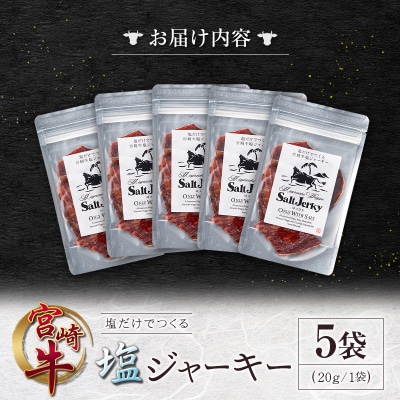 塩だけでつくる 宮崎牛 塩ジャーキー 5袋(20g×5袋)ブランド牛 ビーフジャーキー おつまみ