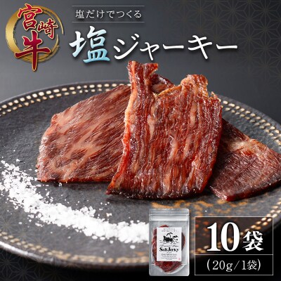 塩だけでつくる 宮崎牛 塩ジャーキー 10袋(20g×10袋)ブランド牛 ビーフジャーキー おつまみ