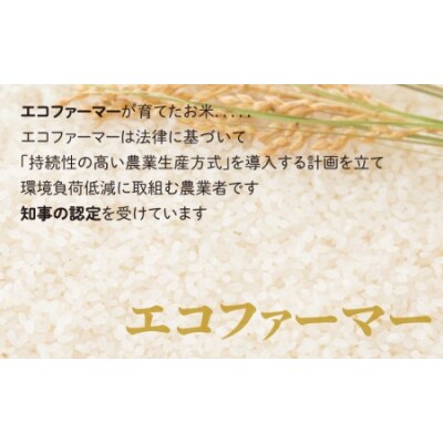 【令和7年産】【6ヶ月定期便】こしひかり 10kg×6回 計60㎏【白米】「エコファーマー米」