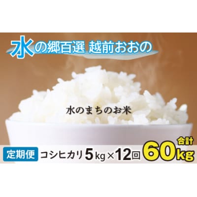 【令和7年産】【12ヶ月定期便】こしひかり 5kg×12回 計60kg【白米】「エコファーマー米」