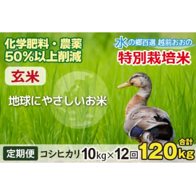 【令和7年産】【12ヶ月定期便】こしひかり 10kg × 12回 計120kg【玄米】「特別栽培米」