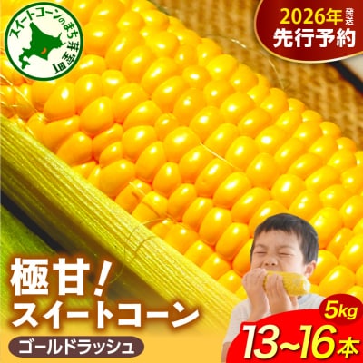 【先行受付】北海道芽室町 ファームミリオン 極甘スイートコーン 5kg me016-011c-26