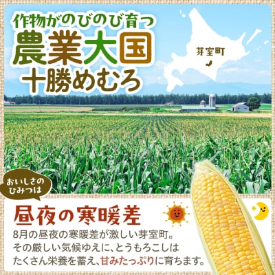 【先行受付】北海道芽室町 ファームミリオン 極甘スイートコーン 5kg me016-011c-26