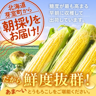 【先行受付】北海道芽室町 ファームミリオン 極甘スイートコーン 5kg me016-011c-26