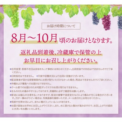 【2026年発送】季節のぶどう 3種セット 約1.5kg 