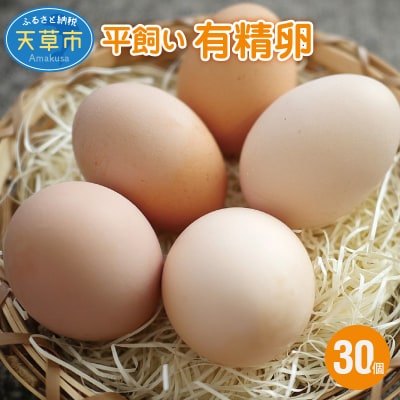 平飼い 有精卵 30個 卵 たまご_S061-004