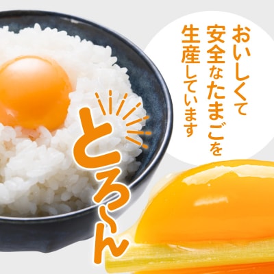 平飼い 有精卵 30個 卵 たまご_S061-004