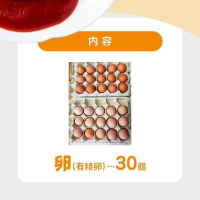平飼い 有精卵 30個 卵 たまご_S061-004