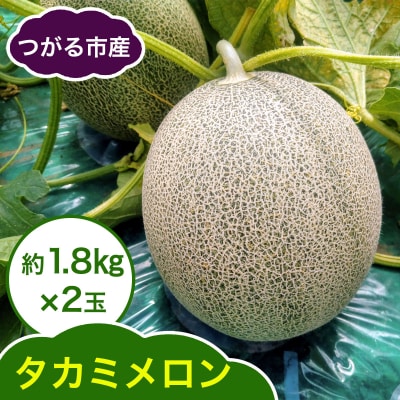 タカミ メロン 約1.8kg×2玉 [0858]