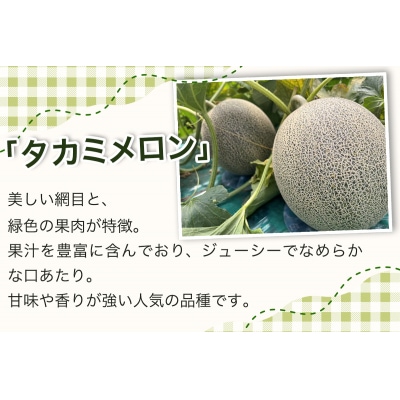 タカミ メロン 約1.8kg×2玉 [0858]