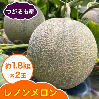 レノン メロン 約1.8kg×2玉 [0859]