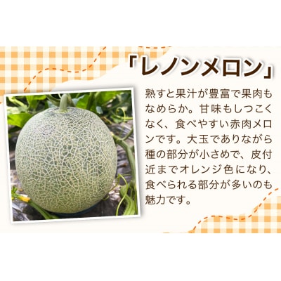 レノン メロン 約1.8kg×2玉 [0859]