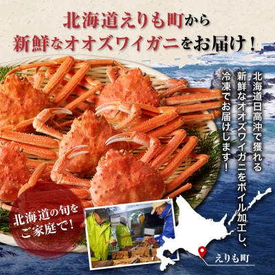 えりも【マルデン特製】訳ありボイルオオズワイガニ姿2kg【er002-051-a】