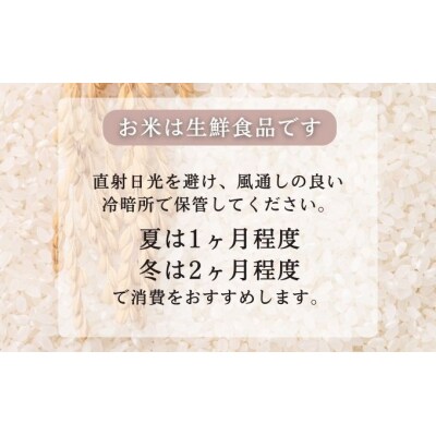 定期便6ヶ月 無洗米 あきたこまち  (5kg×2袋)×6回 [No.5325-0265]