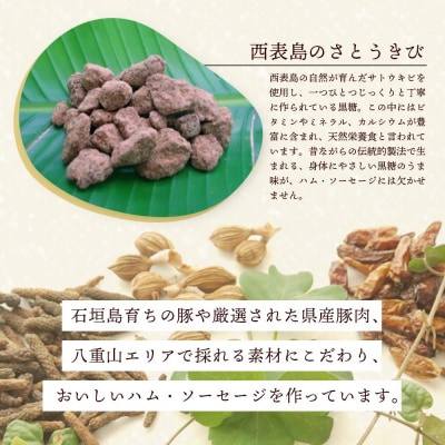石垣島「十五番地」の手作りハム・ソーセージ ギフトセットA(お試しセット3種)