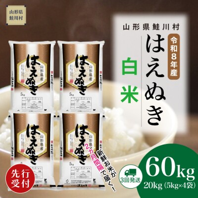 ＜8年産米先行受付＞令和8年10月中旬発送開始 はえぬき【白米】60kg(3回定期便)　鮭川村