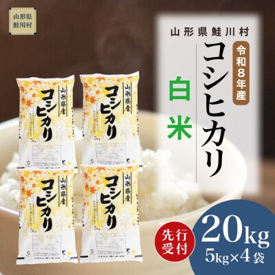 ＜8年産米先行受付＞令和8年11月中旬発送　こしひかり【白米】20kg (5kg×4袋)　鮭川村