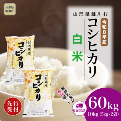 ＜8年産米先行受付＞令和8年11月中旬発送開始 こしひかり【白米】60kg(6回定期便)　鮭川村
