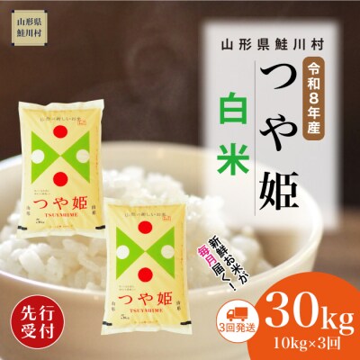 ＜8年産米先行受付＞令和8年11月中旬発送開始 特栽つや姫【白米】30kg(3回定期便)　鮭川村