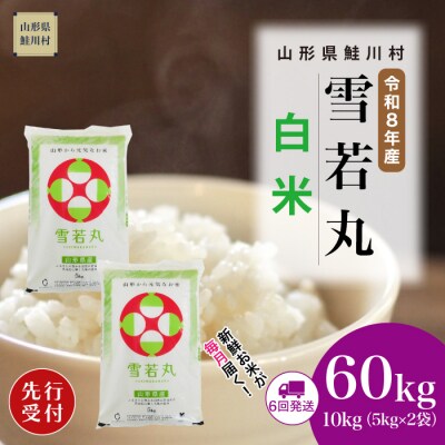 ＜8年産米先行受付＞令和8年11月中旬発送開始 雪若丸【白米】60kg(6回定期便)　鮭川村