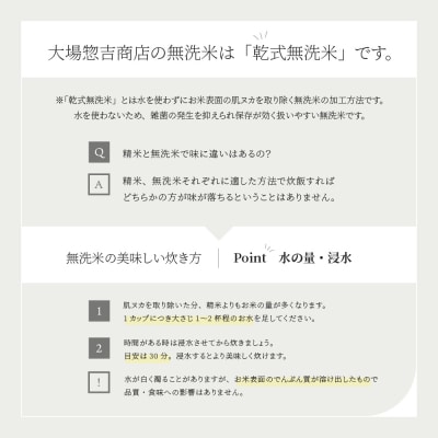 米 10kg 5kg×2 つや姫 令和7年産 山形県産 無洗米