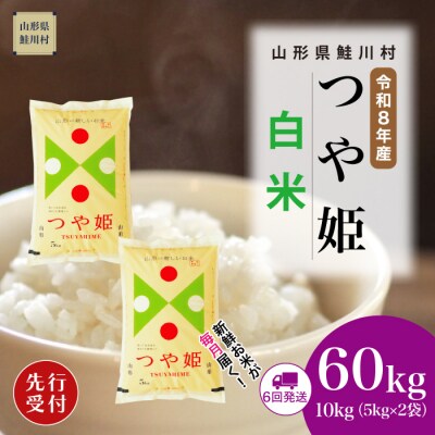 ＜8年産米先行受付＞令和8年11月下旬発送開始 特栽 つや姫【白米】60kg(6回定期便)　鮭川村