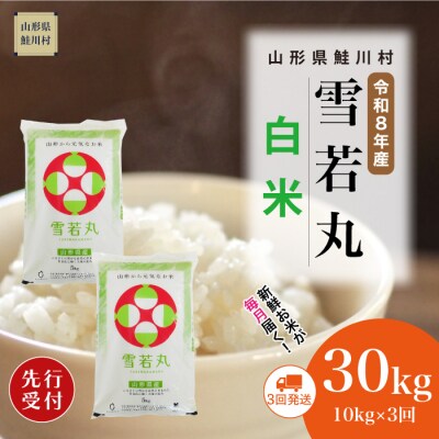 ＜8年産米先行受付＞令和8年12月中旬発送開始 雪若丸【白米】30kg(3回定期便)　鮭川村