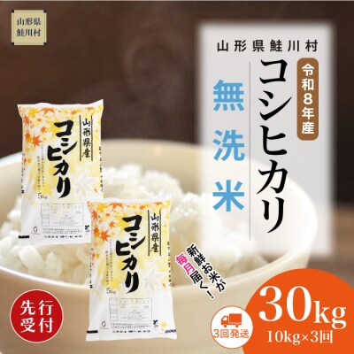 ＜8年産米先行受付＞令和9年1月下旬発送開始 こしひかり【無洗米】30kg(3回定期便)　鮭川村
