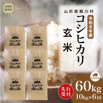 ＜8年産米先行受付＞令和9年1月下旬発送開始 こしひかり【玄米】60kg(6回定期便)　鮭川村