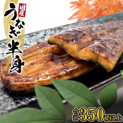 【国産うなぎ】 うなぎ蒲焼 ハーフカット 6パック (3尾分/合計350g以上) タレ 山椒付 半身