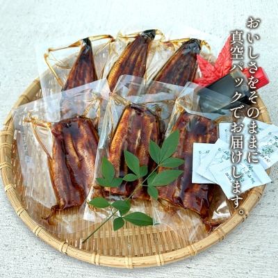 【国産うなぎ】 うなぎ蒲焼 ハーフカット 6パック (3尾分/合計350g以上) タレ 山椒付 半身