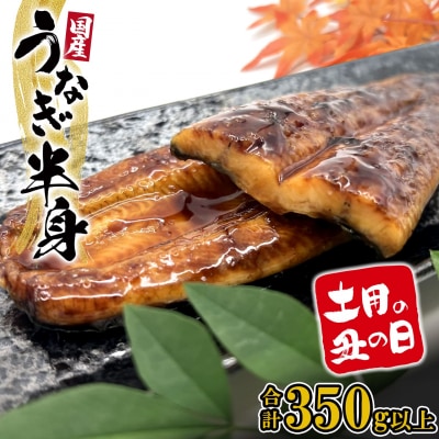 【丑の日】 うなぎ蒲焼 ハーフカット 6パック 合計350g以上 鰻 蒲焼 国産 半身 国産 うなぎ
