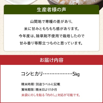 天草市方原産　白米(コシヒカリ)5キロ【先行受付】_S150-003