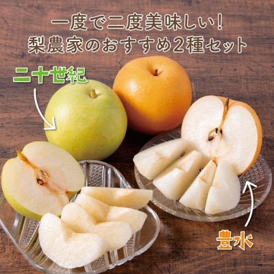 二十世紀と豊水の食べ比べセット 3kg【まえた農園】