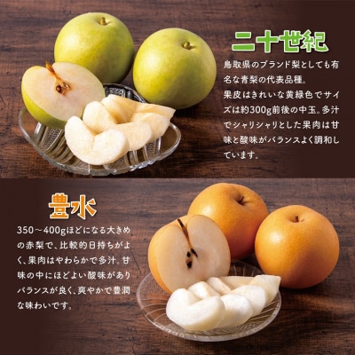 二十世紀と豊水の食べ比べセット 3kg【まえた農園】