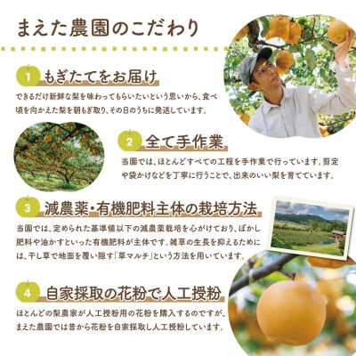 二十世紀と豊水の食べ比べセット 3kg【まえた農園】