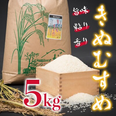 【令和8年産米】きぬむすめ5kg(新米収穫後の10月以降発送)