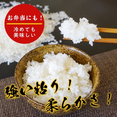 【令和8年産米】きぬむすめ5kg(新米収穫後の10月以降発送)