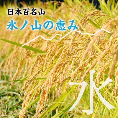 【令和8年産米】きぬむすめ5kg(新米収穫後の10月以降発送)