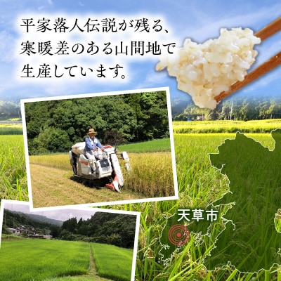 天草方原産　清流米　コシヒカリ　玄米5キロ【先行受付】_S150-005