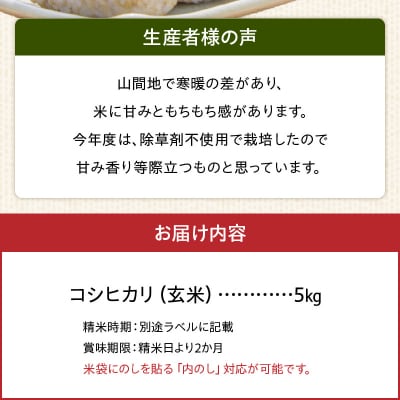 天草方原産　清流米　コシヒカリ　玄米5キロ【先行受付】_S150-005