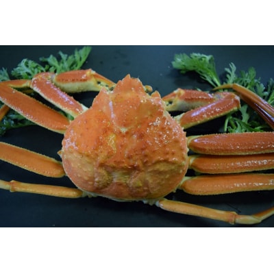 【定期便】『境港の全部を食す』旬のお魚宅配便(全4回)