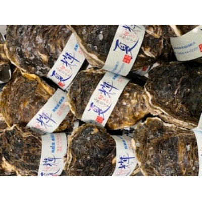 【定期便】『境港の全部を食す』旬のお魚宅配便(全4回)