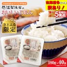 【さとふる限定】◎最短翌日発送◎ コシヒカリ パックごはん 40食 訳あり! 茨城県境町産 おいしい
