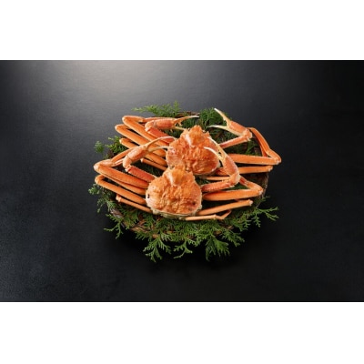 <火～木着><11月中旬～3月上旬発送予定>浜茹松葉ガニ足欠(2枚/計約800g以上)